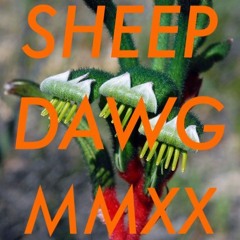 XIII.Collective Presents: SHEEP DAWG Showcase(MMXX)