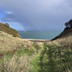 🎪21st November 2025