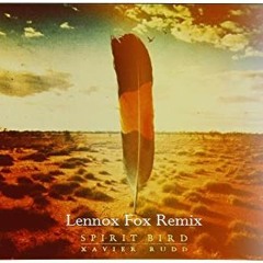 Xavier Rudd x Lennox Fox - Spirit Bird Remix
