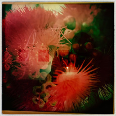 Cosmic Space Collidor