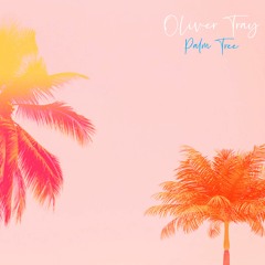 Palm Tree