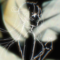 MOON LIGHT RECLUSE