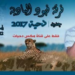 أقوى دحيه أبو عرب الشوال وعطية الأصلع   فرقة فهود البادية   2017 ناااار HD