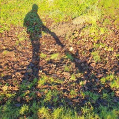 Sunshine