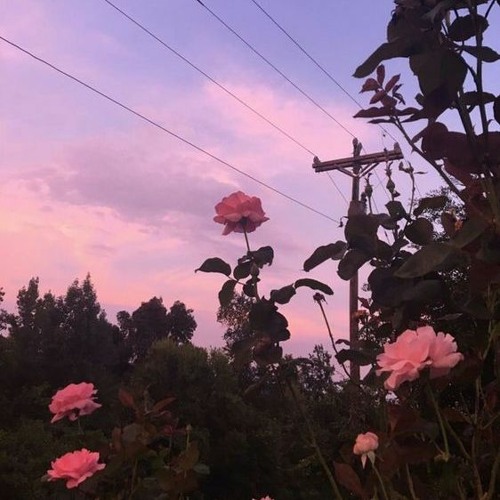 Chuyện Rằng (Lofi Ver) - Thịnh Suy X Lil Kay