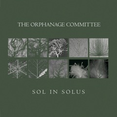 The Orphanage Committee - A1 - Tiny Rivers (Excerpt from 'Sol In Solus') [EV22]