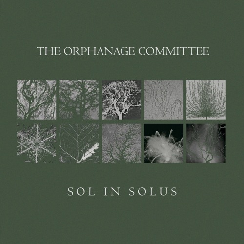The Orphanage Committee - A2 - Mother Tree (Excerpt from 'Sol In Solus') [EV22]