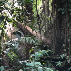 Outsiders: SN Variations w/ Chris Watson & Musarc @ Kiosk Radio 01.06.2025