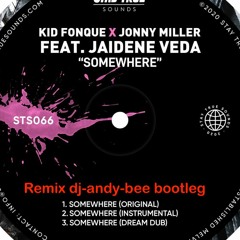 Somewhere Jonny Miller ft Jaidiene Veda (Remixed dj-andy-bee)