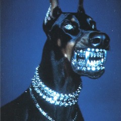 40RTY5GUNZ - Cyber Dawg (Prod. NovoFX)