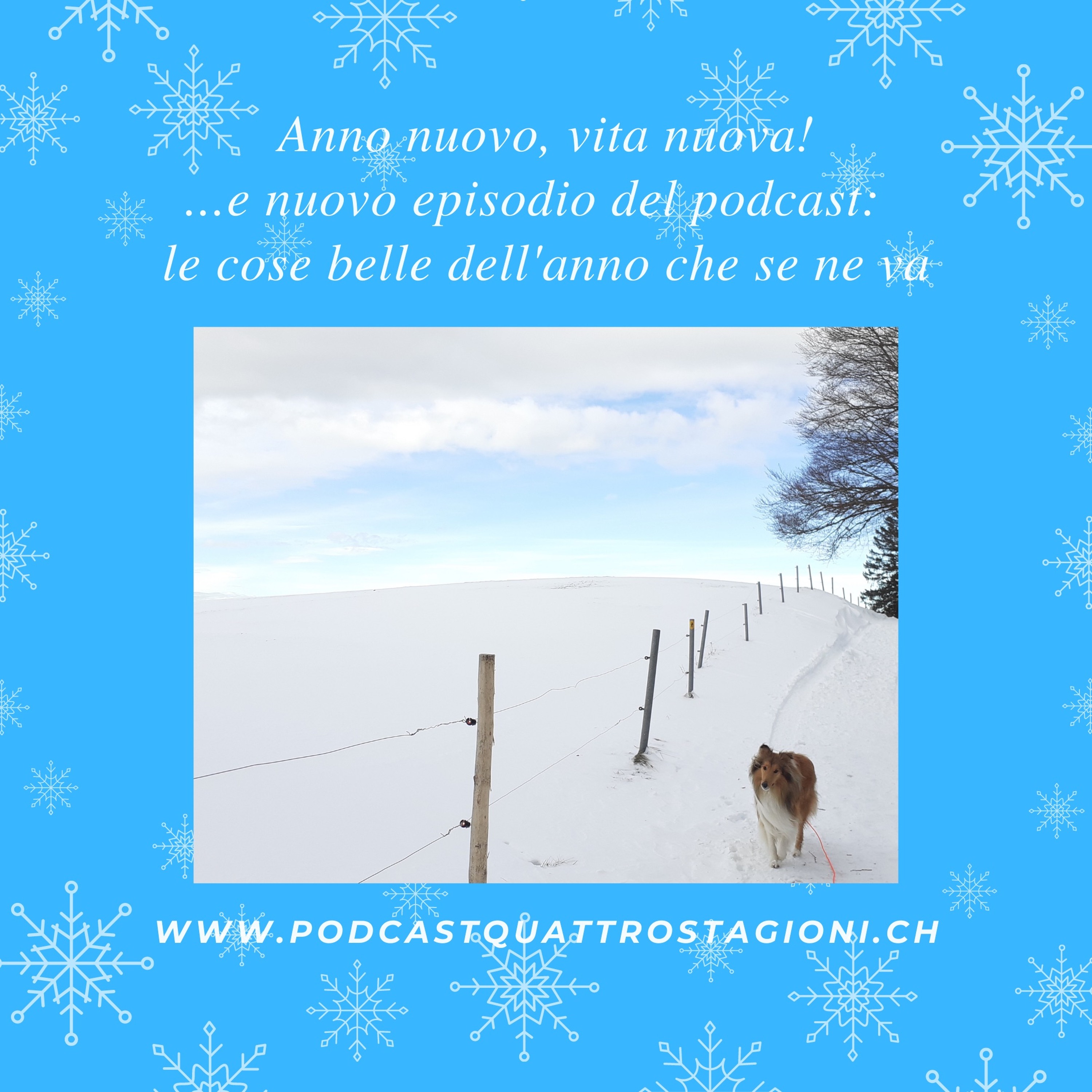 Quattro Stagioni - 34: Buona fine e miglior inizio!