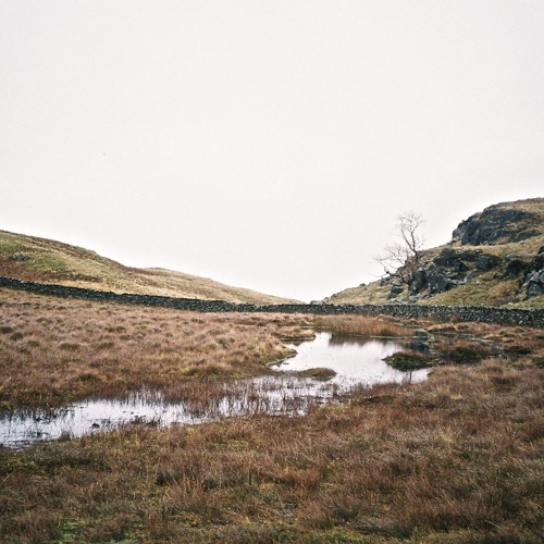 S40: Short Cuts: Earth 5/6