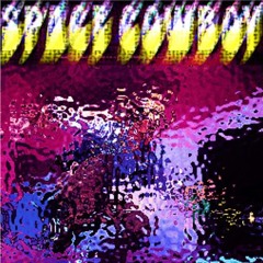 Space Cowboy (Dub)