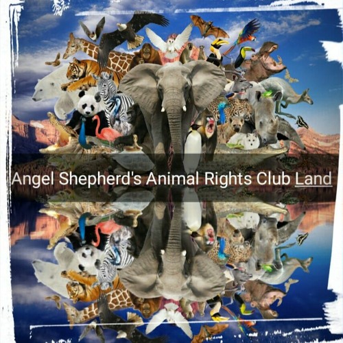 03. ANGEL SHEPHERDS ANIMAL RIGHTS CLUB LAND_VEGAMOR