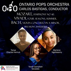 Symphony No. 40 in G Minor, K. 550: I. Molto allegro by Wolfgang Amadeus Mozart