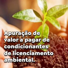 Apuração de valor a pagar de condicionantes de licenciamento ambiental.