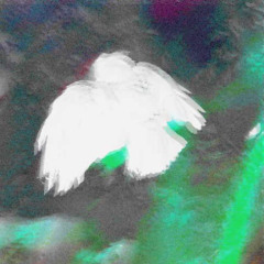 ♢Ȧ̶̵̗̳N̰̜͉͔ͬ̽͢G̛͔͇̞̹̈̀͘͘͟3̵̷̧̗͙̰̽̋͟L̳͈͉̅̊B̟̈́̆̐̄̚͜1̷̸̫̐͂̕Ŗ̴̪̈̄͞Ḋ̤͇̮͙ͥ♢