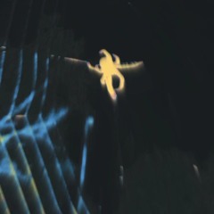 LAY AROUND MY ROOM [[SERUMM]]