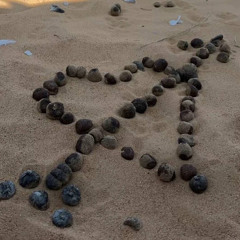 شيلة غزلية البيت | أداء خالد آل بريك