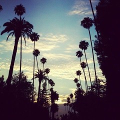 elibanss dont care prod me