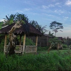 Suatu Pagi di Omah Sawah