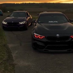 Evanescence - Bring me to life (SRULX PHONK REMIX)