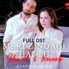 Meri Zindagi Hai Tu - Full OST (Slowed & Reverb)| Hania Aamir | Bilal Abbas Khan | Asim Azhar | ARY Digital | Heart Snapped