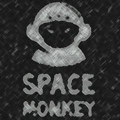 The Decline - Project Space Monkey