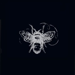 Honey & Daggers