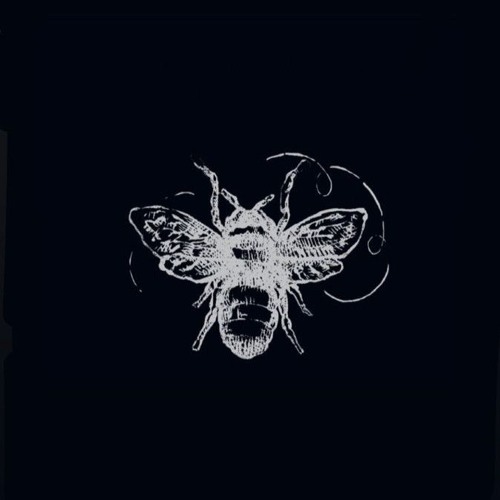 Honey & Daggers