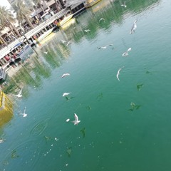 وصلك خبر..ناصيف زيتون