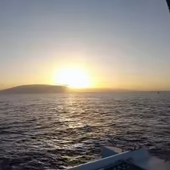Ommanipadmaehum