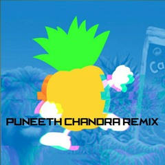 Vidya Vidya - Safari Fruits(Puneeth Chandra Remix)