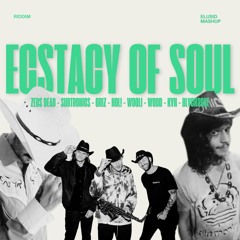 Zeds Dead, Subtronics, Griz, HOL!, Wooli, WODD, KVN, BlvckRose - Ecstacy of Soul (ELUSID MASHUP)