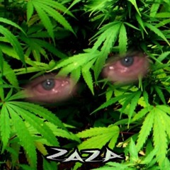 ZAZA - HOW HIGH