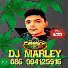 MELO DE LUA REGGAE REMIX 2022 DJ MARLEY EQUIPE TRIBOS REGGAE