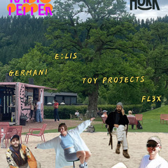 Fl3x @ Hokk - Music with Friends