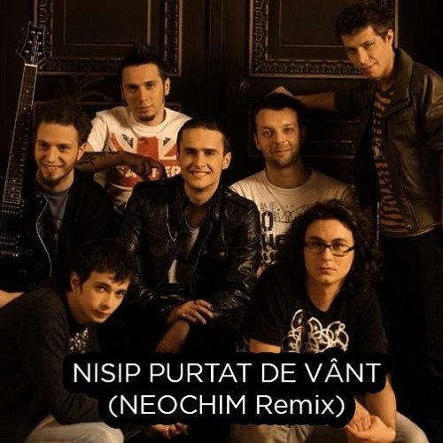 Animal X - Nisip Purtat De Vant (NEOCHIM Remix)