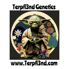 Terpfi3nd - NW47 06/22/25