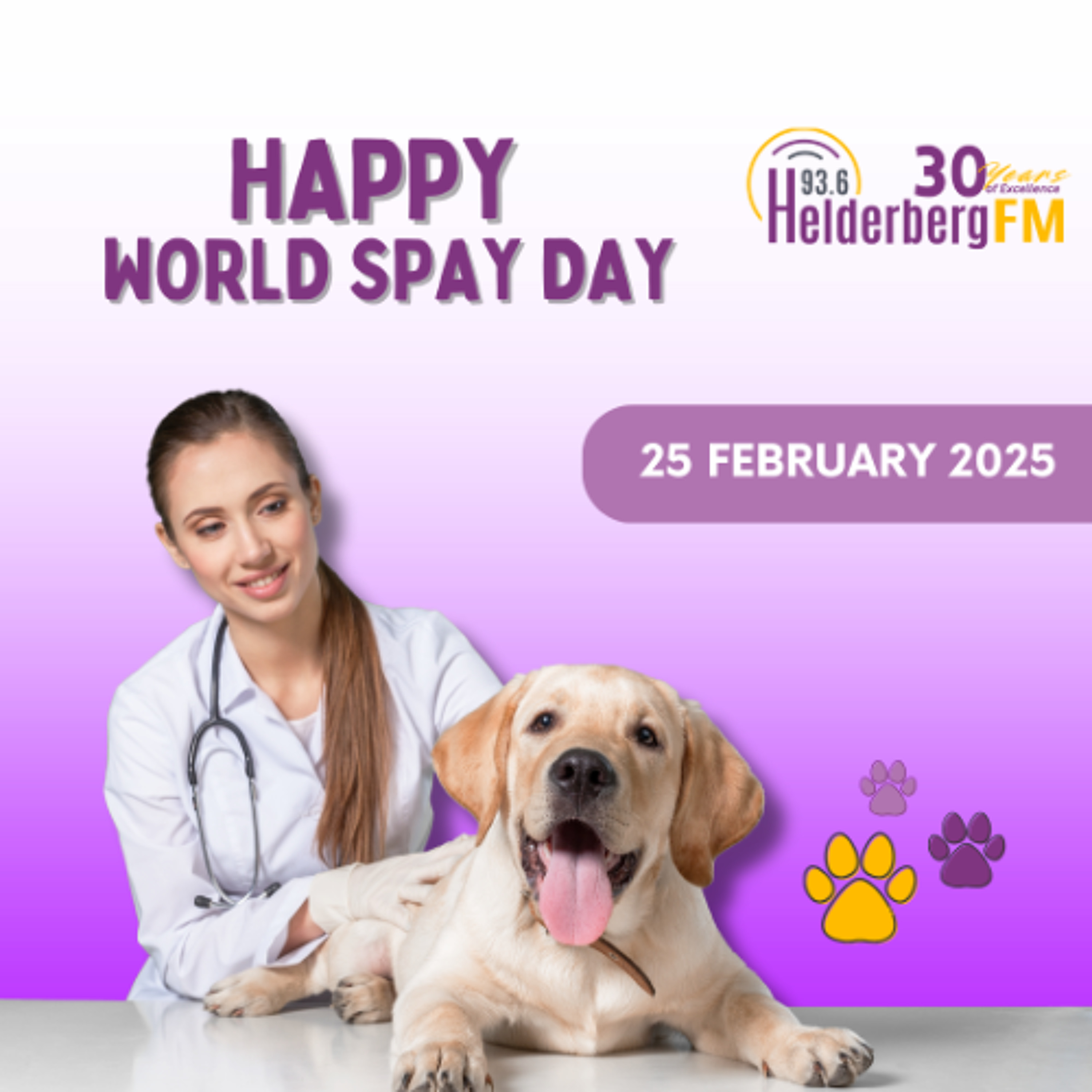 World Spay Day 25 February episode artwork