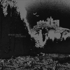 Descent into the Abyss CAVE CASTLE X ORACUL FEMTO