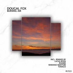 PREMIERE : Dougal Fox - Burning Air (Tonaco Remix) [Polyptych]