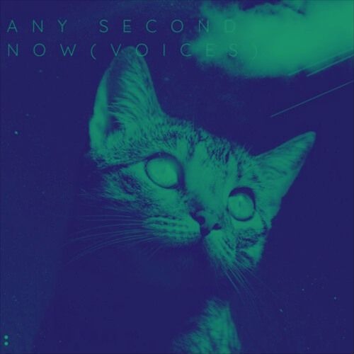 Any Second Now (voices) - a Depeche Mode cover - Chilzenni vs. Sekret Oktober feat. minimal nomad