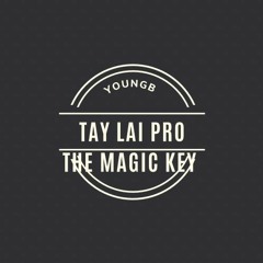 LAI TAY PRO MS THE MAGIC PRO - JUSTATEE FT DOUBLE 2T [ YOUNGB FLIP ] DOWNLOAD