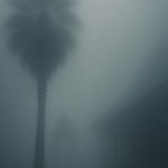 niebla