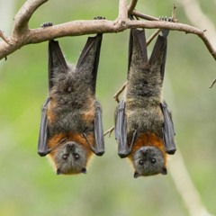 Sick Psych World @ The Lot Radio 01-26-2024