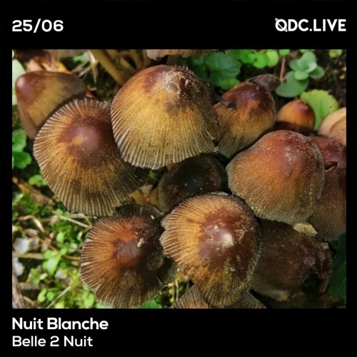 Nuit Blanche avec Belle 2 Nuit (Juin Soundcloud podcast image for