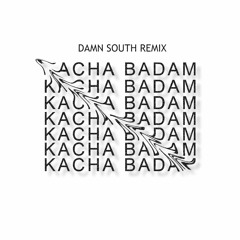 Kacha Badam Remix