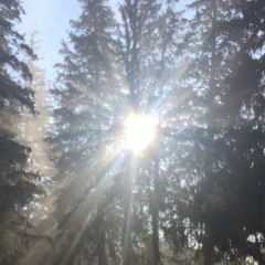 guided meditation - contemplating our priorities