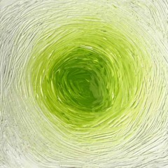 ORGANIC SOUNDS 06 (SPECIAL MIX SOUKSONIC)